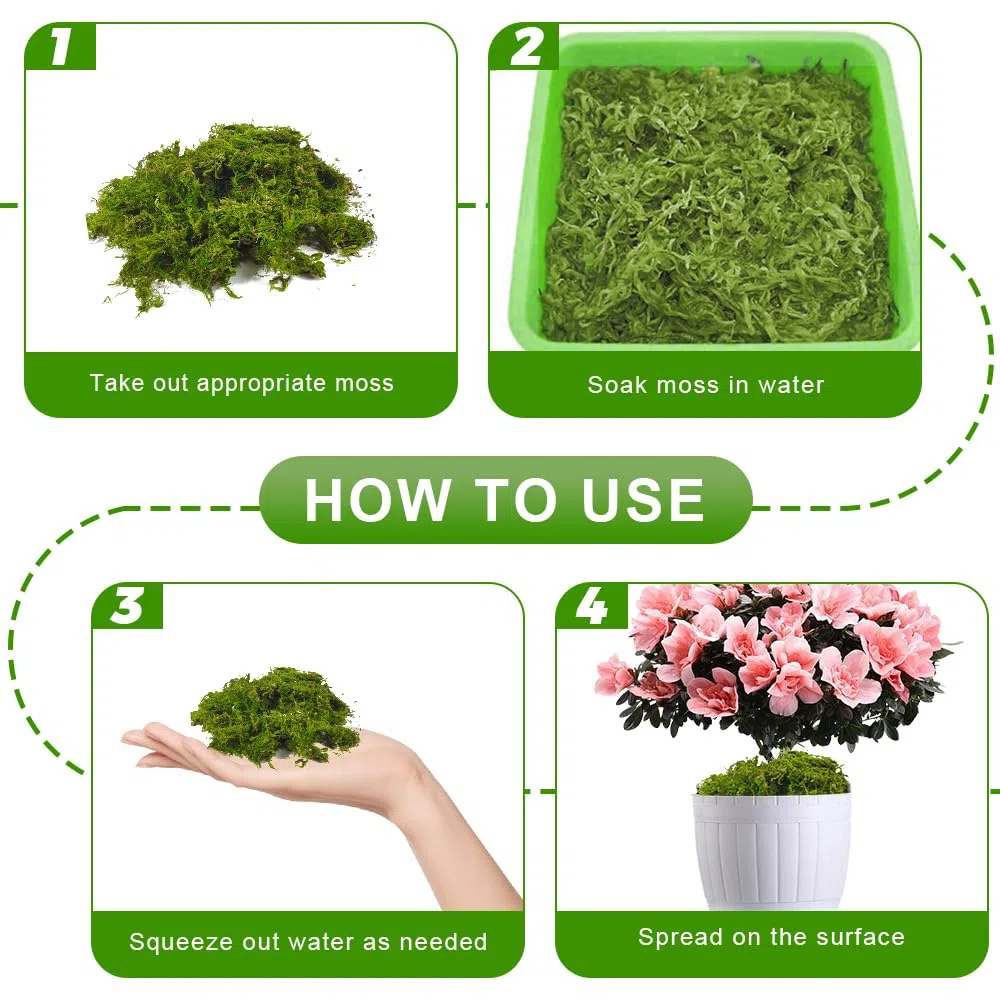 Musgo Sphagnum, 2 x 150 g Musgo para Orquideas, Musgo Natural Sphagnum Moss, Sustrato Orquideas Sustrato Bonsai para Orquídeas, Plantas, Enraizamiento de Esquejes, Reptiles