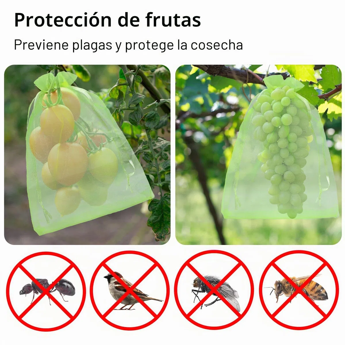 100 Piezas Bolsas Protectoras para Uvas, 20 x 30 cm Bolsa de Protección de Frutas, Bolsa de Organza con Cordón, para Proteger contra Pájaros, Avispas y Otros Insectos (Verde Claro)