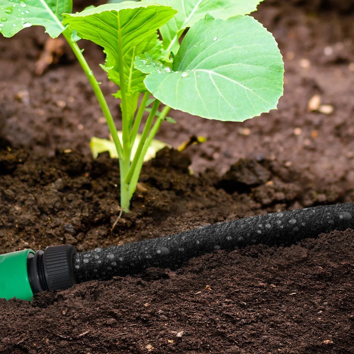IDMarket - Manguera micro porosa de 25 m de goteo especial riego