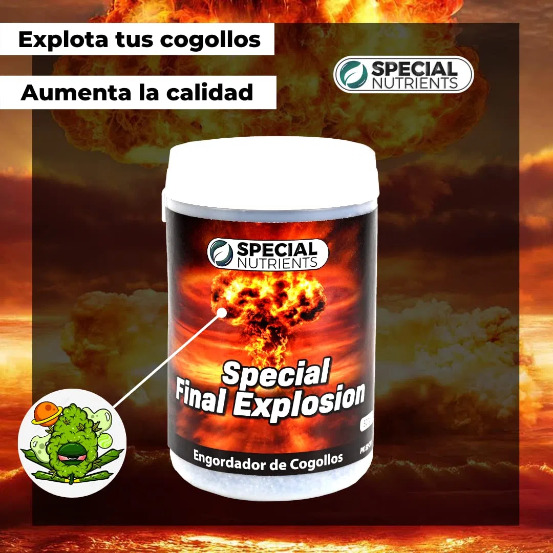 Special Nutrients - Cogollador Revienta tu Cosecha - Engorde Masivo Flores Rápido y de Calidad - Abono Explota Cogollos Pk 52-34 (250gr)