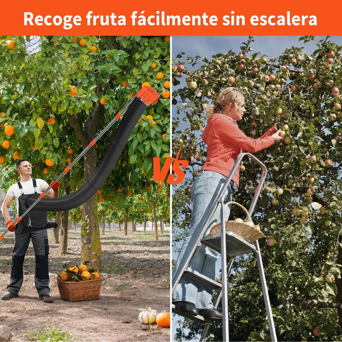 Recolector de Fruta Raccogli Frutta Telescopico Raccogli Ciliegie Telescopico Recogedor de Frutas con Varillas de Extensión Recolectoras para Manzanas 3.78M