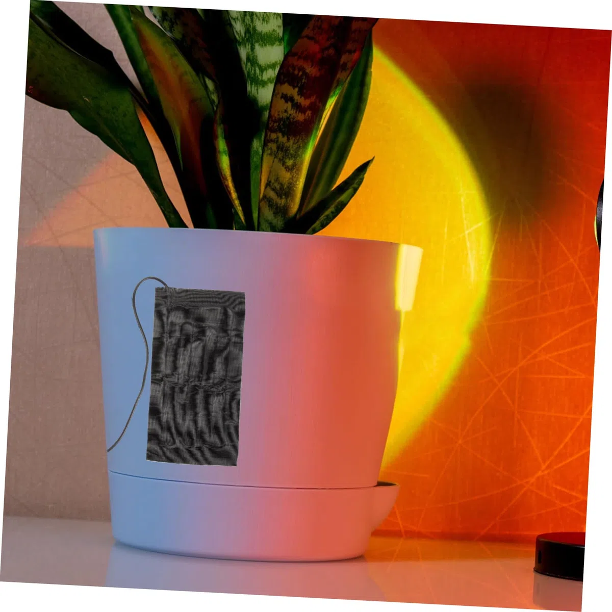 Almohadilla Térmica para Plantas con Calefacción Eléctrica Accesorio para Mascotas con USB