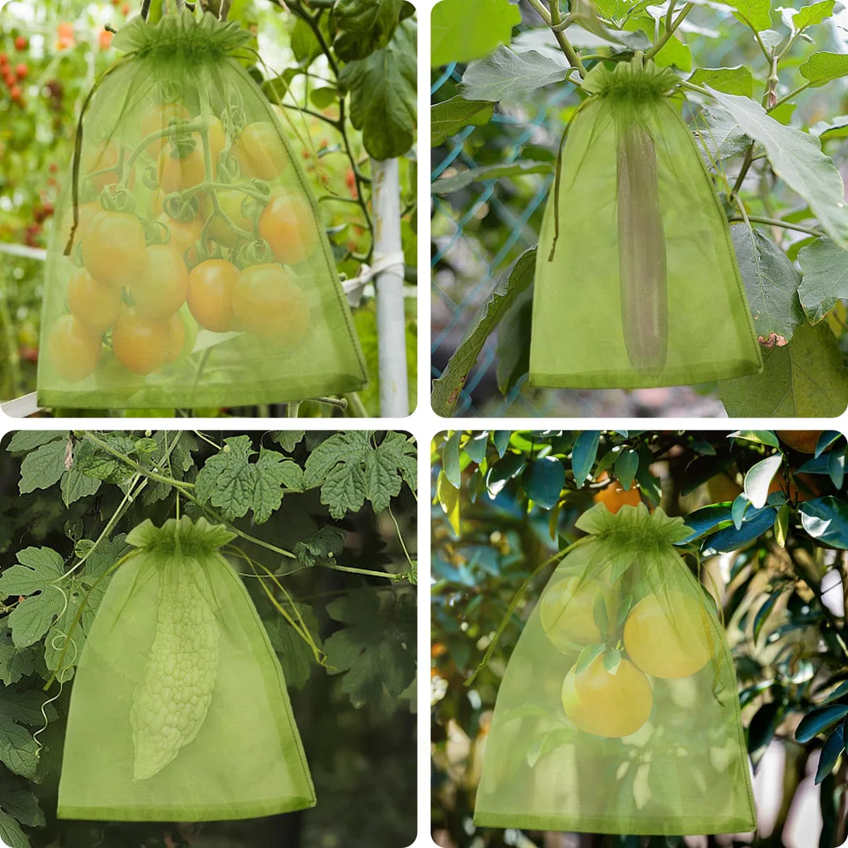 Bolsa de Protección de Uvas, 100 Piezas Bolsa de Protección de Frutas, Bolsas de Organza con Cordón 30cm x 20cm para Proteger Los Racimos de Uvas de Avispones y Antipajaros(Verde Oscuro)