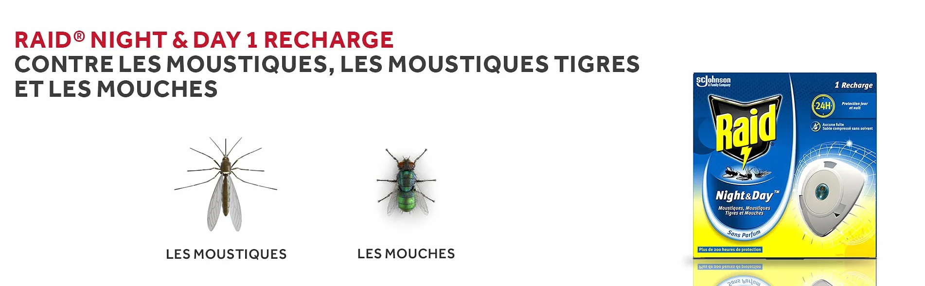 Raid Electric Night&Day - Recarga moscas de mosquito/tigres, 240 horas – Lote de 3