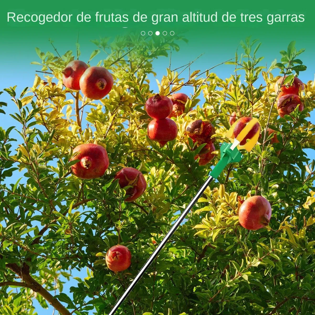Recogefrutas | Recolector Telescópico de 3 Garras | Corta Ramas Recolector Manual Para Huerto Y Agricultor