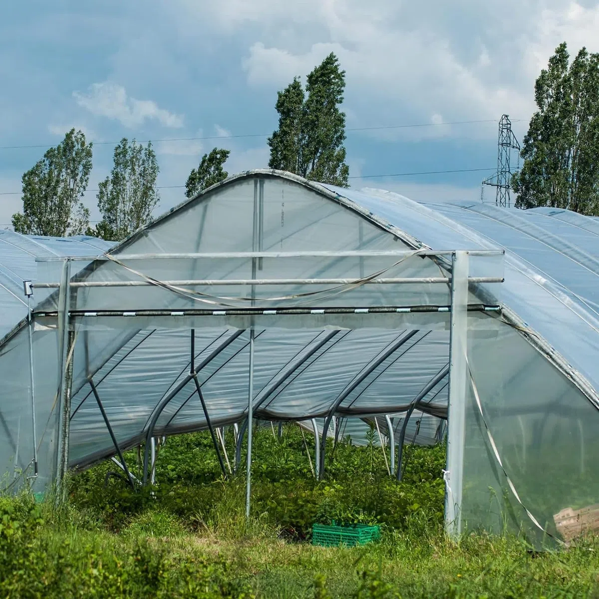 DAZZTIME 3 x 10M Plástico Invernadero Transparente,Cubierta Invernadero Plastico,Plasticos para Invernaderos,para Proyectos Industriales, Residenciales, Agricultura, Mampostería(200Mu/1000G)