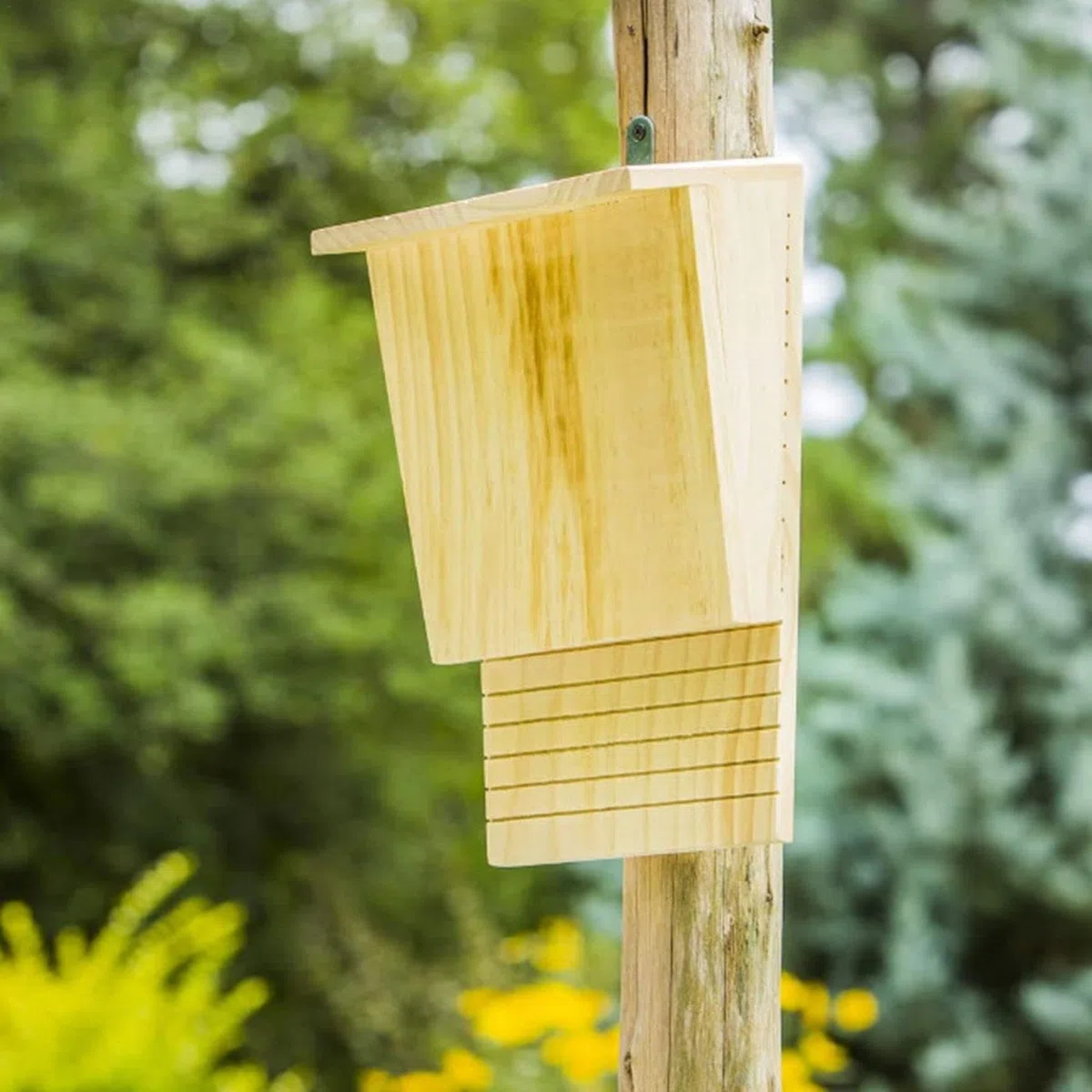Casas para murciélagos de Madera para Uso en Exteriores | Caja de para murciélagos Hecha a Mano | Nicho para murciélagos de Madera Natural con Techo, atornillado y sin Tratar,