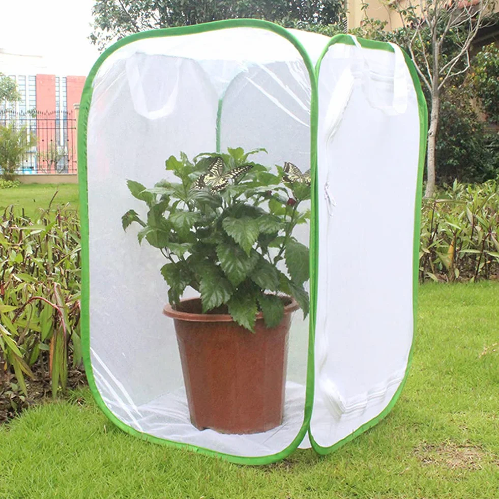 Kisbeibi Jaula de insectos translúcida red mariposa hábitat jaula planta invernadero tienda plegable protección jardín mariposa (tamaño: M,15,74 x 15,74 x 23,62 pulgadas)