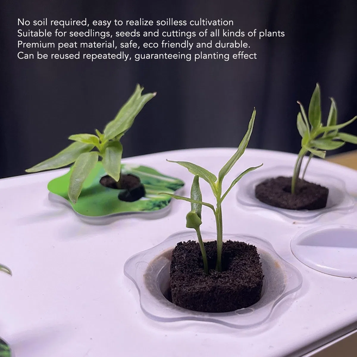 Paquete de 50 Esponjas de Cultivo para Hidroponía, Reemplazo de Bloque de Plántulas, Esponjas de Crecimiento de Raíces, Vainas de Semillas, Esponjas de Inicio de Semillas para Sistema(DRH TN0927)