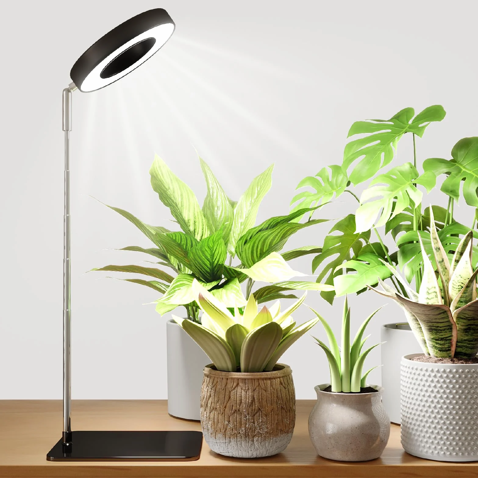 Bamworld luz crecimiento plantas interior LED espectro completo 8W con base luces de crecimiento para plantas anillo altura ajustable escritorio grow light luz para plantas interior