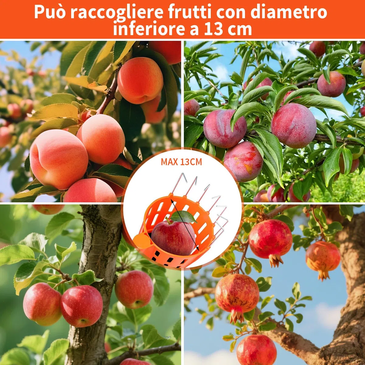 Recolector de Fruta Raccogli Frutta Telescopico Raccogli Ciliegie Telescopico Recogedor de Frutas con Varillas de Extensión Recolectoras para Manzanas 3.78M
