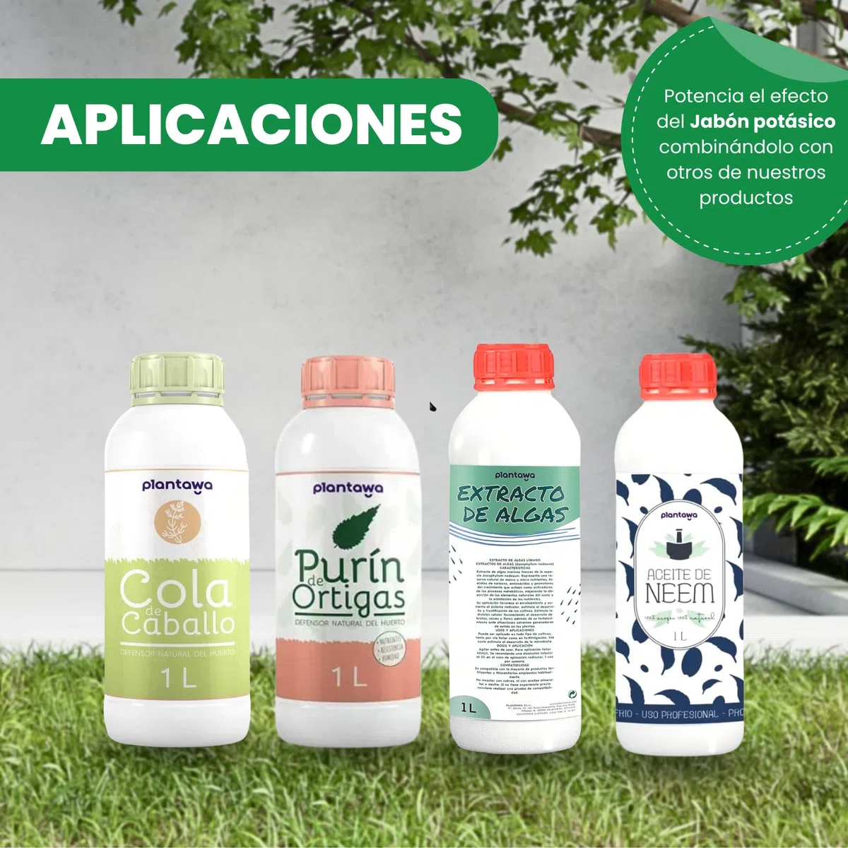 PLANTAWA Jabón Potásico 5L | Solución Multiusos | Formato Ahorro | Fácil Aplicación y Máxima Eficacia | Versátil | Producto de Origen Natural para Preparaciones Caseras