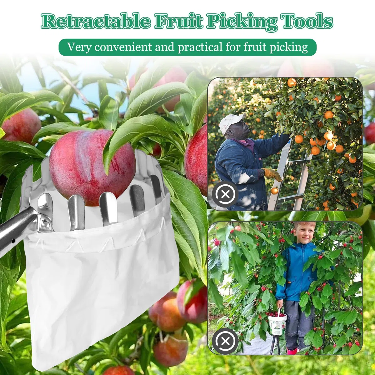 Recogedor de Frutas Telescopico, 2,4 M Recolector de Frutas, Recoge Frutas de Árboles, Recoge Frutas Telescopico Extensible, Herramienta recolectora de Frutas para Manzanas, Naranjas, Peras