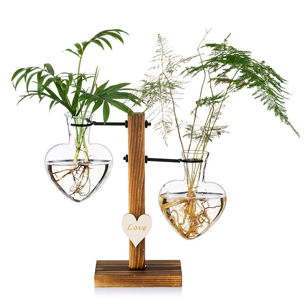 Terrario De Vidrio para Plantas con Soporte De Madera, Jarrones Hidropónicos De Vidrio De Doble Corazón Creativo, Estación De Propagación para Plantas Modernas