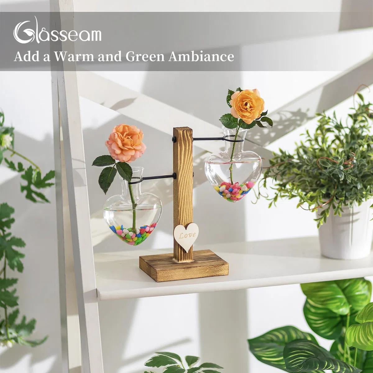 Terrario De Vidrio para Plantas con Soporte De Madera, Jarrones Hidropónicos De Vidrio De Doble Corazón Creativo, Estación De Propagación para Plantas Modernas