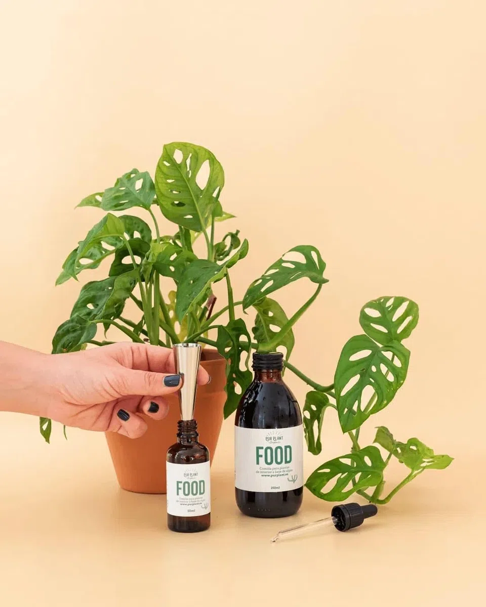 PUR PLANT Plant Food Comida Para Plantas | Elixir Orgánico para Plantas | Estimula el crecimiento | Fertilizante Líquido Natural con Algas | Hasta 100 Aplicaciones |250 ml