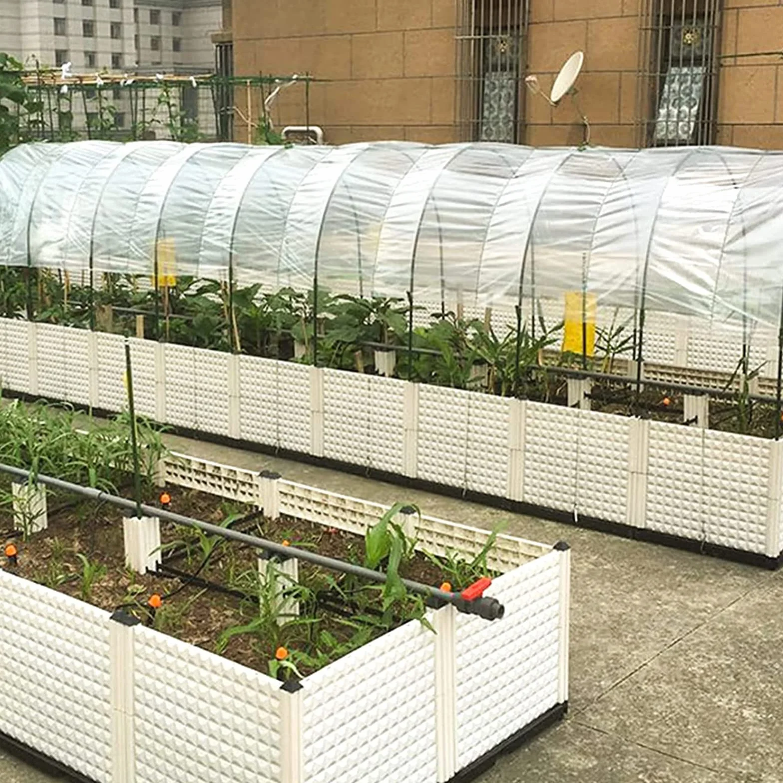 PALUDO 2 x 10M Plástico Transparente Extra Grueso para Invernadero, Láminas de Polietileno Cubretodo, Cubierta de Película para Plantas Jardín (250Mu / 1000G)