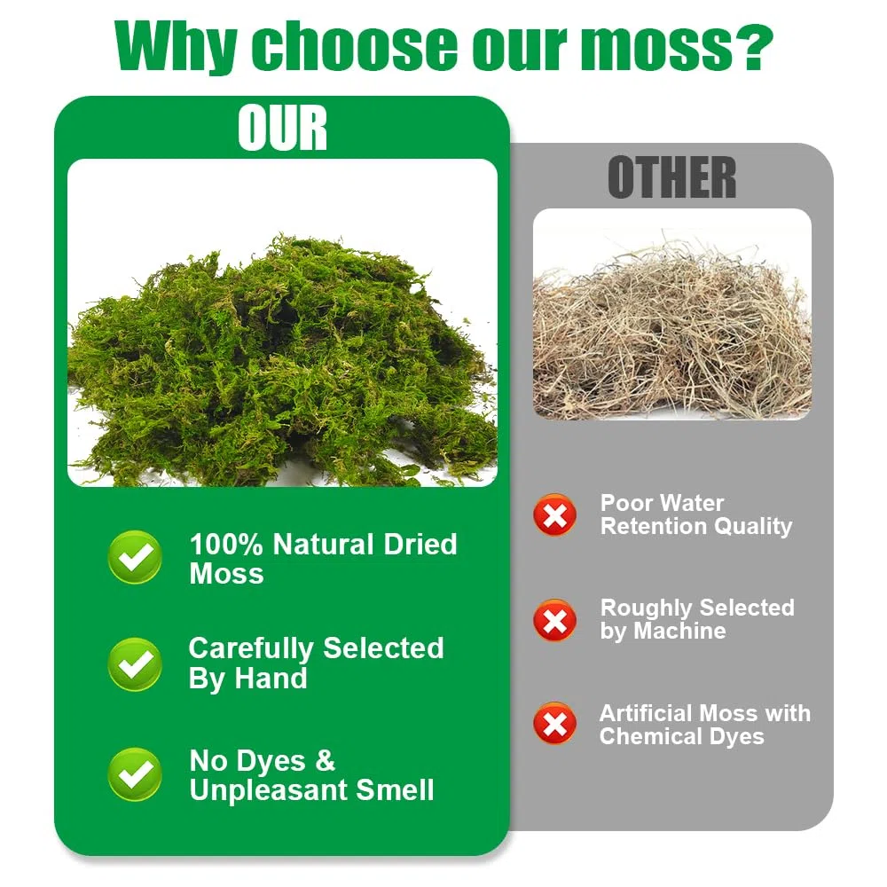 Musgo Sphagnum, 2 x 150 g Musgo para Orquideas, Musgo Natural Sphagnum Moss, Sustrato Orquideas Sustrato Bonsai para Orquídeas, Plantas, Enraizamiento de Esquejes, Reptiles