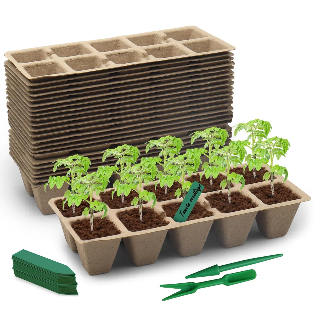 Bandejas de siembra biodegradables (30 Unidades, 10 alvéolos) - Bandejas de siembra compostables de Fibra de Papel con Agujeros de Drenaje, Ideal para Semillas, Verduras, Flores y jardinería