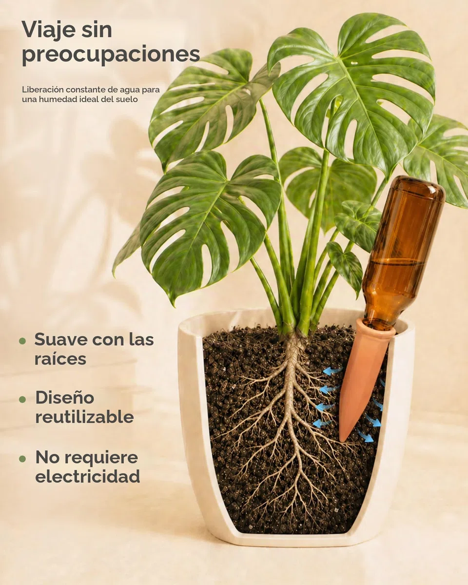 Bamworld Riego Automatico Macetas con Conos de Terracota 6 Unidades Autorriego para Macetas Sistema de Riego Plantas Vacaciones Interior Exterior Balcon Jardin Terraza