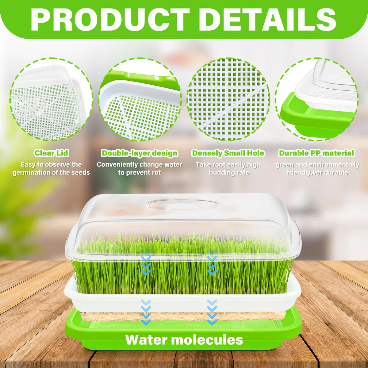 Bandejas para germinar brotes de berro: 6 unidades de bandeja de semillas para germinar brotes con tapa para hidropónico, bandeja de germinación de semillas grandes, bandeja para germinación de