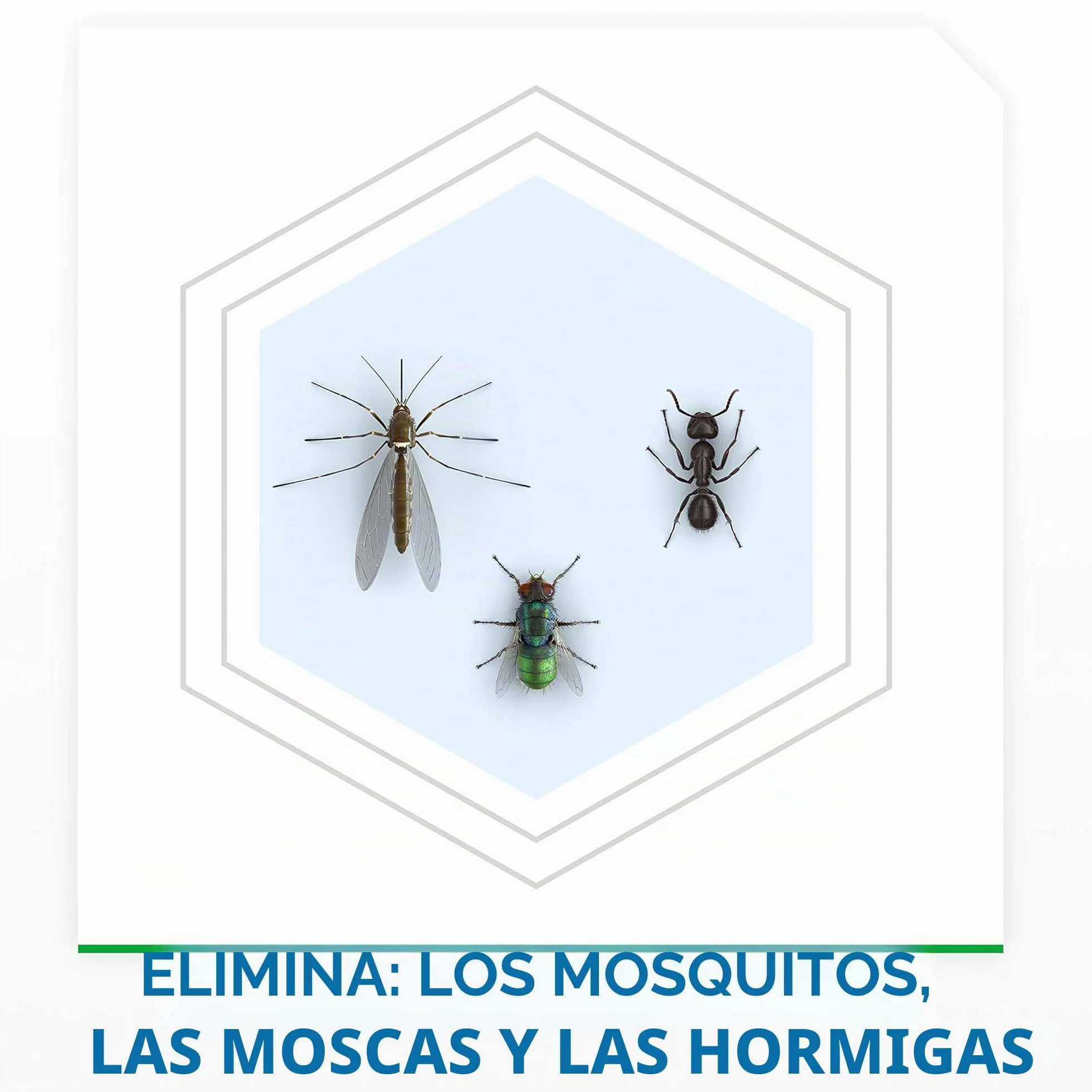 Raid Electric Night&Day - Recarga moscas de mosquito/tigres, 240 horas – Lote de 3