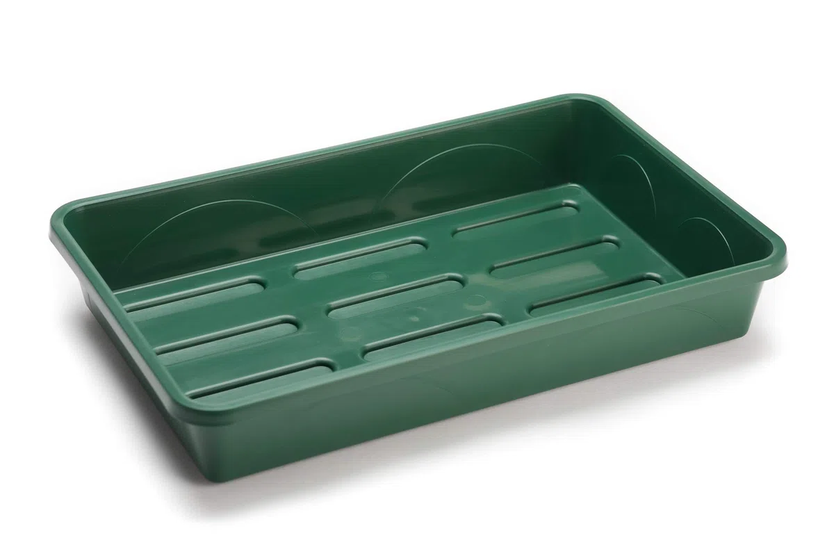 EarlyGrow MPL50031/P - Propagador Mediano con Tapa Resistente a roturas para germinación de Semillas y Crecimiento de Plantas, 38 x 24 x 18 cm, Color Verde