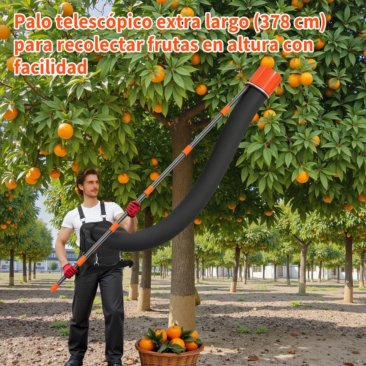 Recolector de Fruta Raccogli Frutta Telescopico Raccogli Ciliegie Telescopico Recogedor de Frutas con Varillas de Extensión Recolectoras para Manzanas 3.78M
