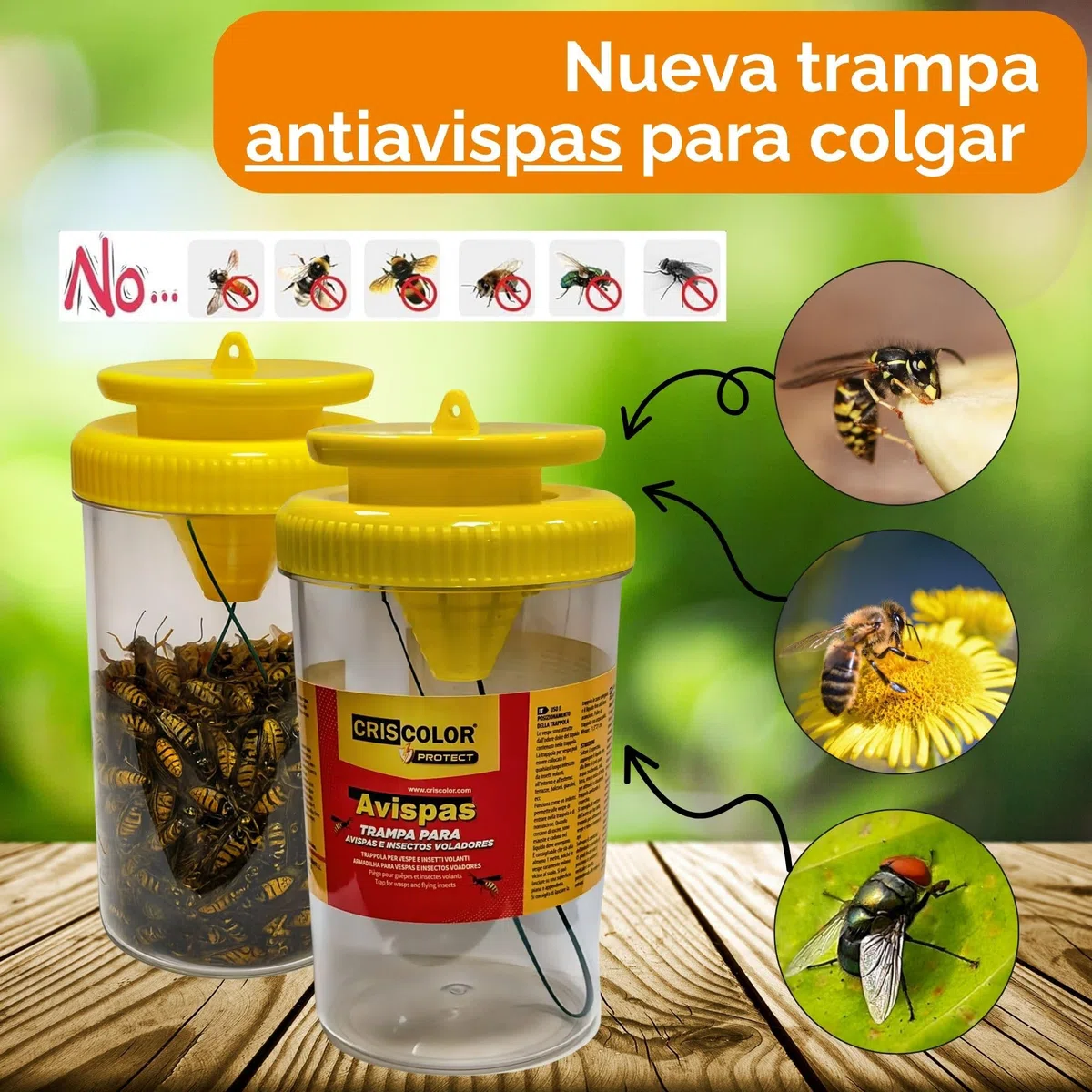 IAMI 2X Trampa para Avispas y Moscas para Exteriores – Reutilizable con Entrada en Embudo – Uso Exterior en Jardín, Terraza o Balcón