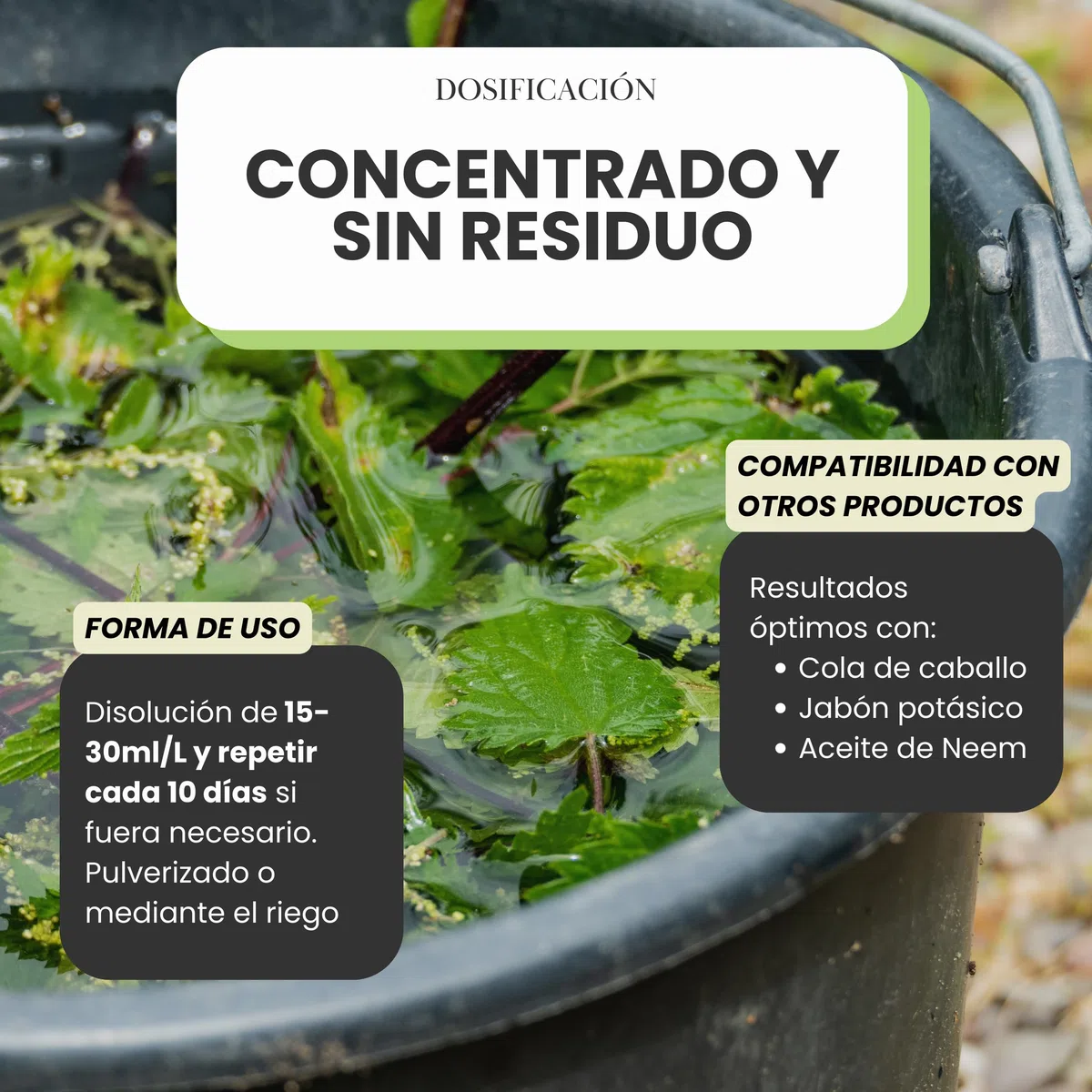 Purín de Ortiga Concentrado para Plantas 5L - Acción Fungicida, Insecticida y Acaricida - Dosis 15-30ml/L - Corrector de Carencias Hierro (Clorosis Férrica) - Control de Plagas y Hongos (5L)