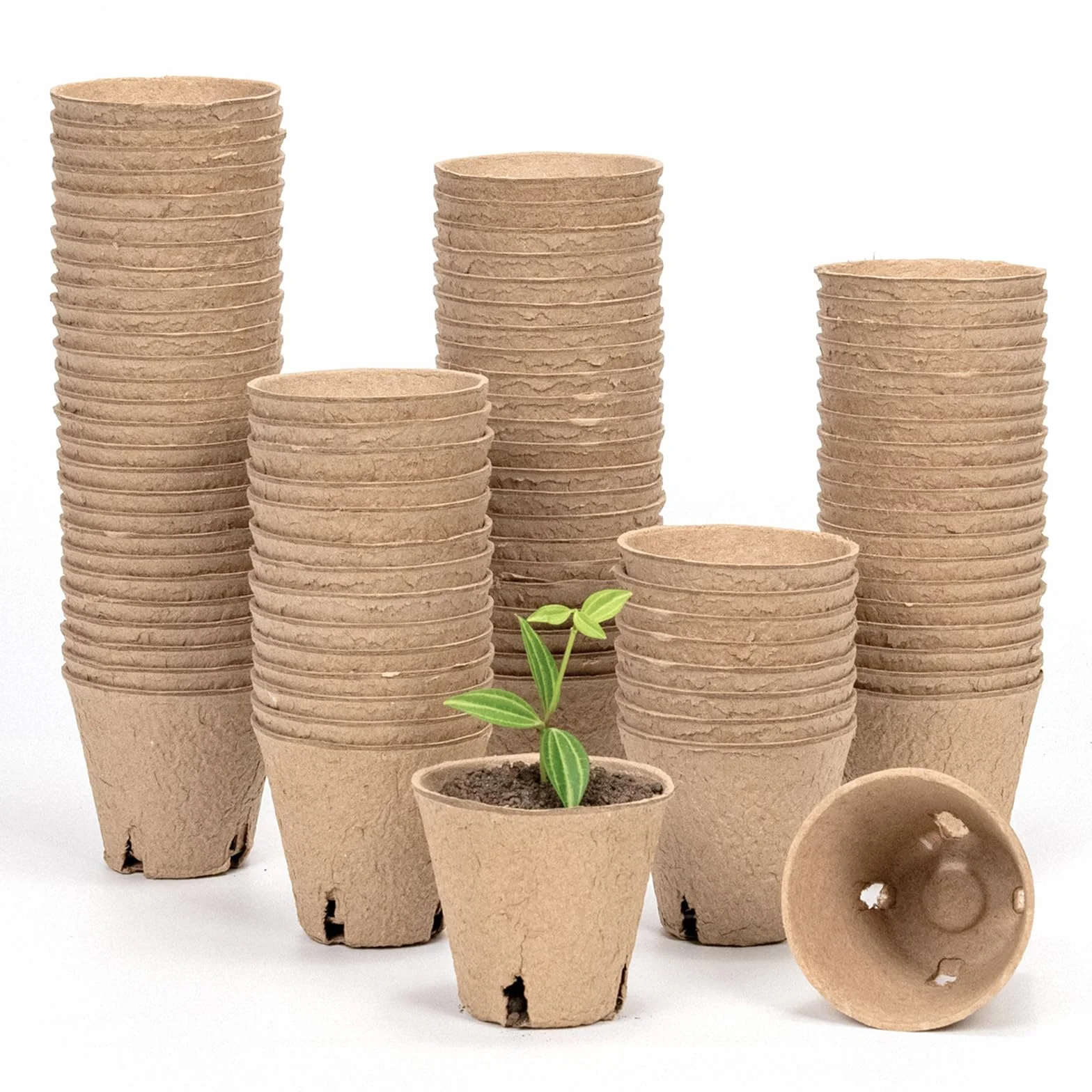 Bamworld 100 Macetas de Vivero con Drenaje, 8cm Macetas Biodegradables, Macetas Ecológicas para Siembra y Propagación