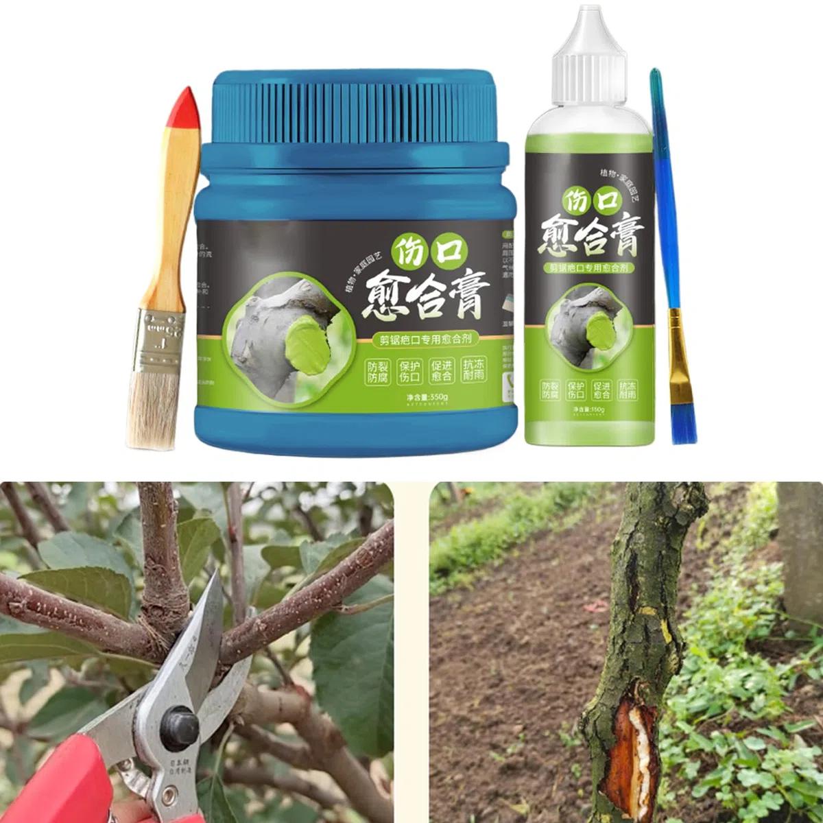 Pasta Cicatrizante Para Árboles | Reparación De Corteza Dañada,Cera De Injerto Y Protector Invernal Para Troncos - Mantenimiento Para Principiantes En Jardinería, Bonsáis Y