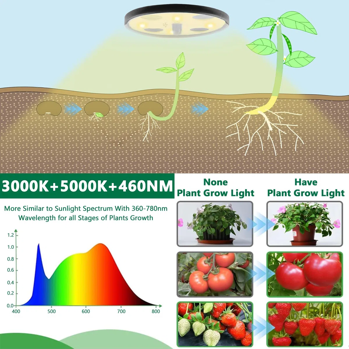 ZLPBAO Mini Cultivo de Invernadero, 5 Piezas Nuevo Bandejas de Semillas 12 Celdas Cultivo de Mini Invernadero, con Luz de Cultivo Solar de Espectro Completo y Ventilaciones