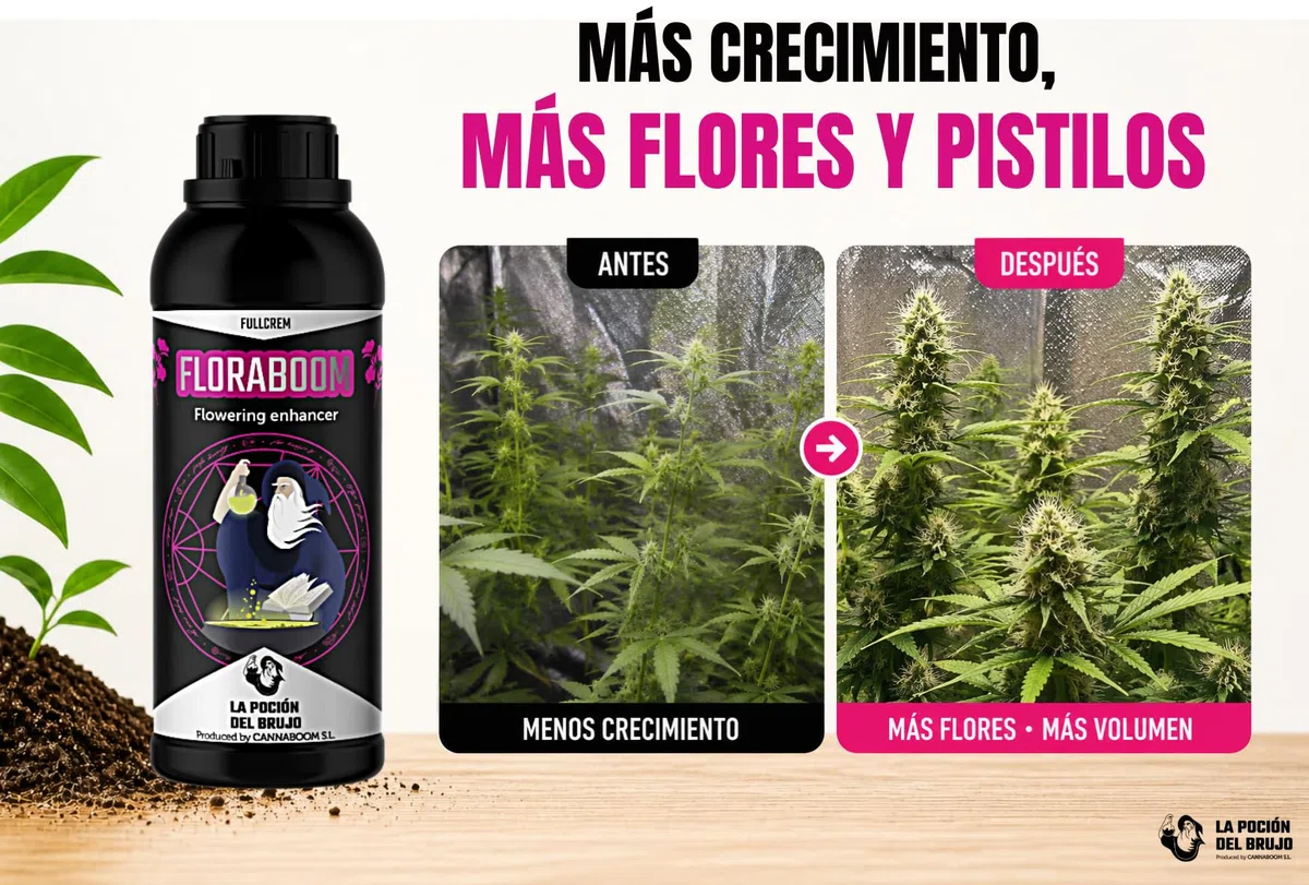 FLORABOOM FULLCREM - "Cannaboom" (1.000ml) | NPK 9% - 18% - 9% | Fósforo + Potasio | Floración Intensa | Cosechas Abundantes y Aromáticas