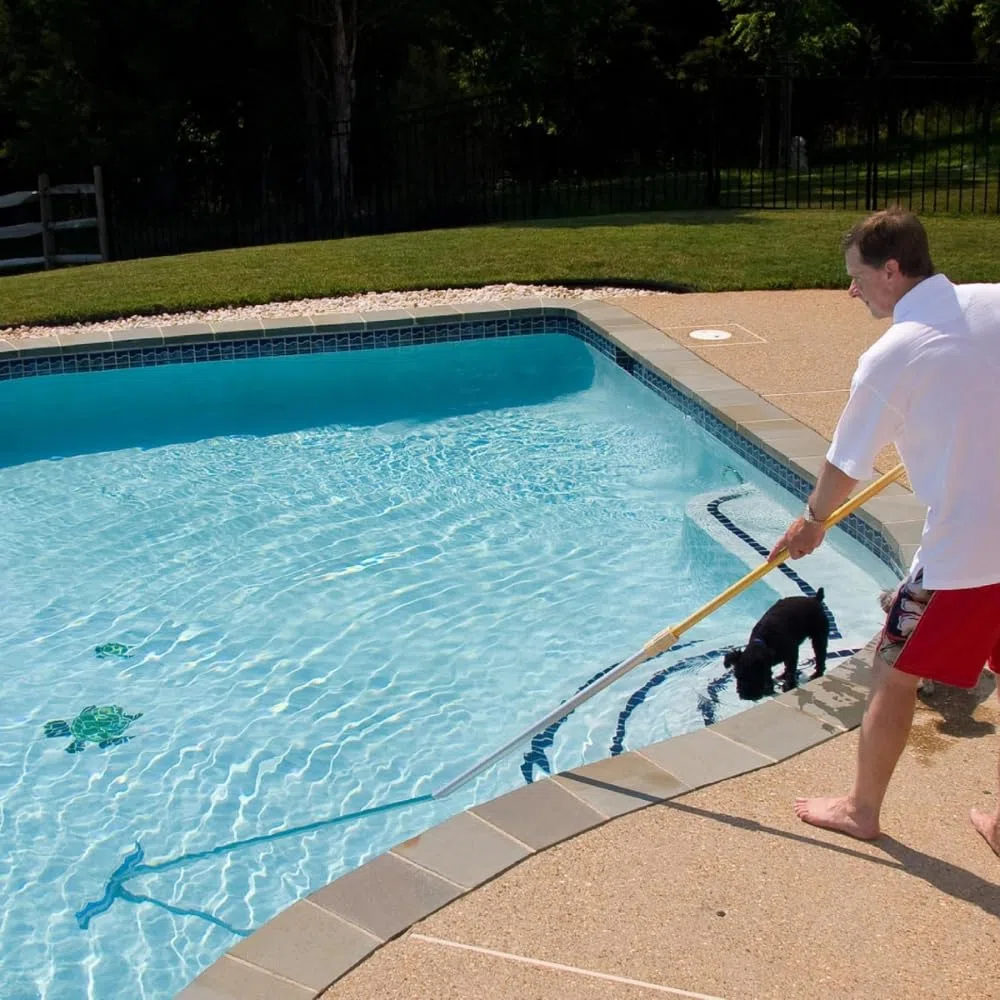 Cepillo Piscina de Aluminio 46 cm – Cabezal Cepillo Limpieza Profesional para Paredes, Suelos y Baldosas, Cerdas Resistentes, Compatible con Pértigas Estándar, Alta Eficiencia