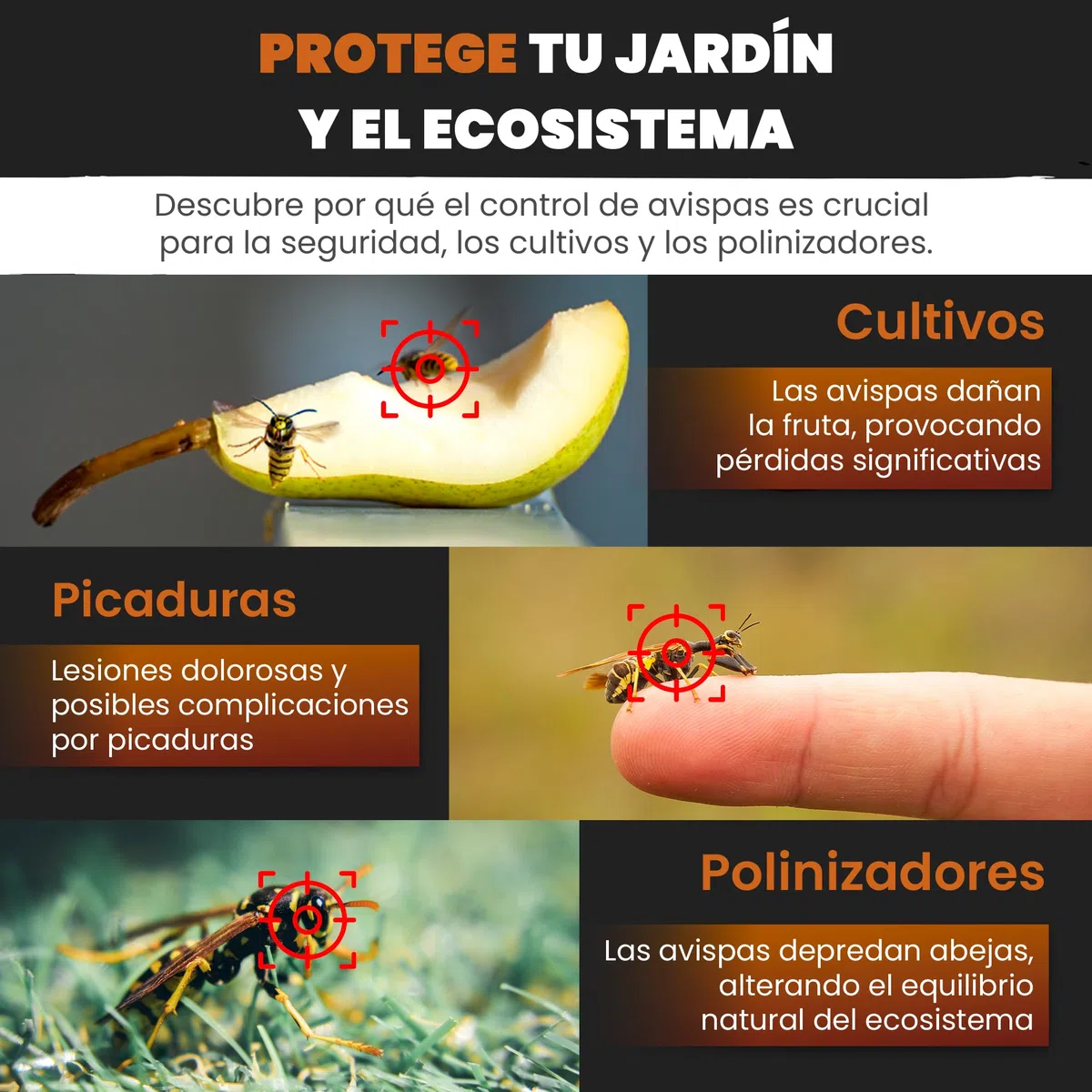2 Trampas para Avispas - Trampa Grande Profesional Avispa Asiática Vespa Velutina Avispón - Trampa sin Cebo Atrayente | Colgar Jardín Exterior Reutilizable