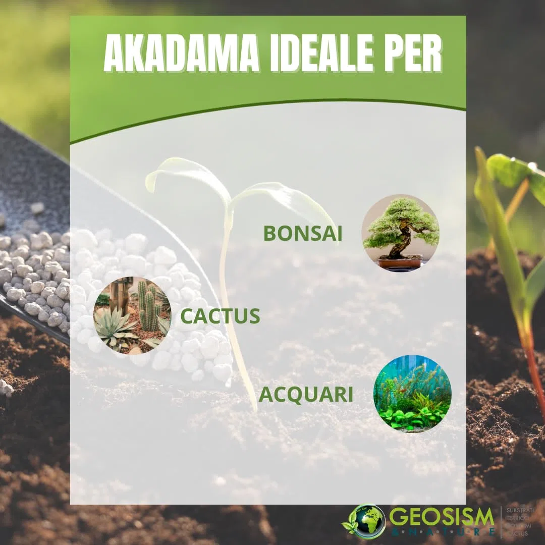 Akadama Hard Quality 5/10 mm (1 kg - Aproximadamente 1,5 lt), para Bonsai