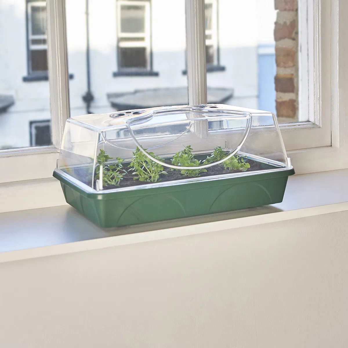 EarlyGrow MPL50031/P - Propagador Mediano con Tapa Resistente a roturas para germinación de Semillas y Crecimiento de Plantas, 38 x 24 x 18 cm, Color Verde