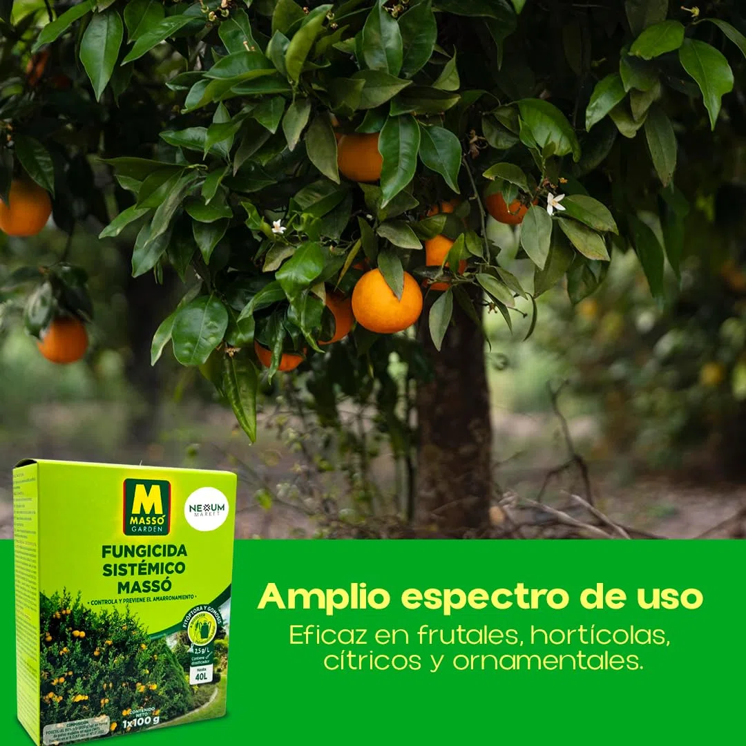 Fungicida Sistémico Fosetil-Al 80% 100 g | Acción Preventiva y Curativa contra Fitóftora y Gomosis | Protección de Raíces, Tronco y Cuello | Control de Oomicetos en Plantas | Eficaz | Nexum Market