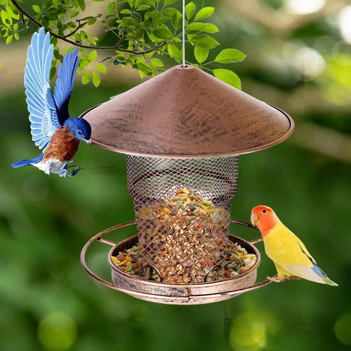 Comedero para pájaros colgante, plegable, comedero para pájaros, comedero para pájaros, resistente a la intemperie, con techo, decoración de jardín, adecuado para balcón, jardín