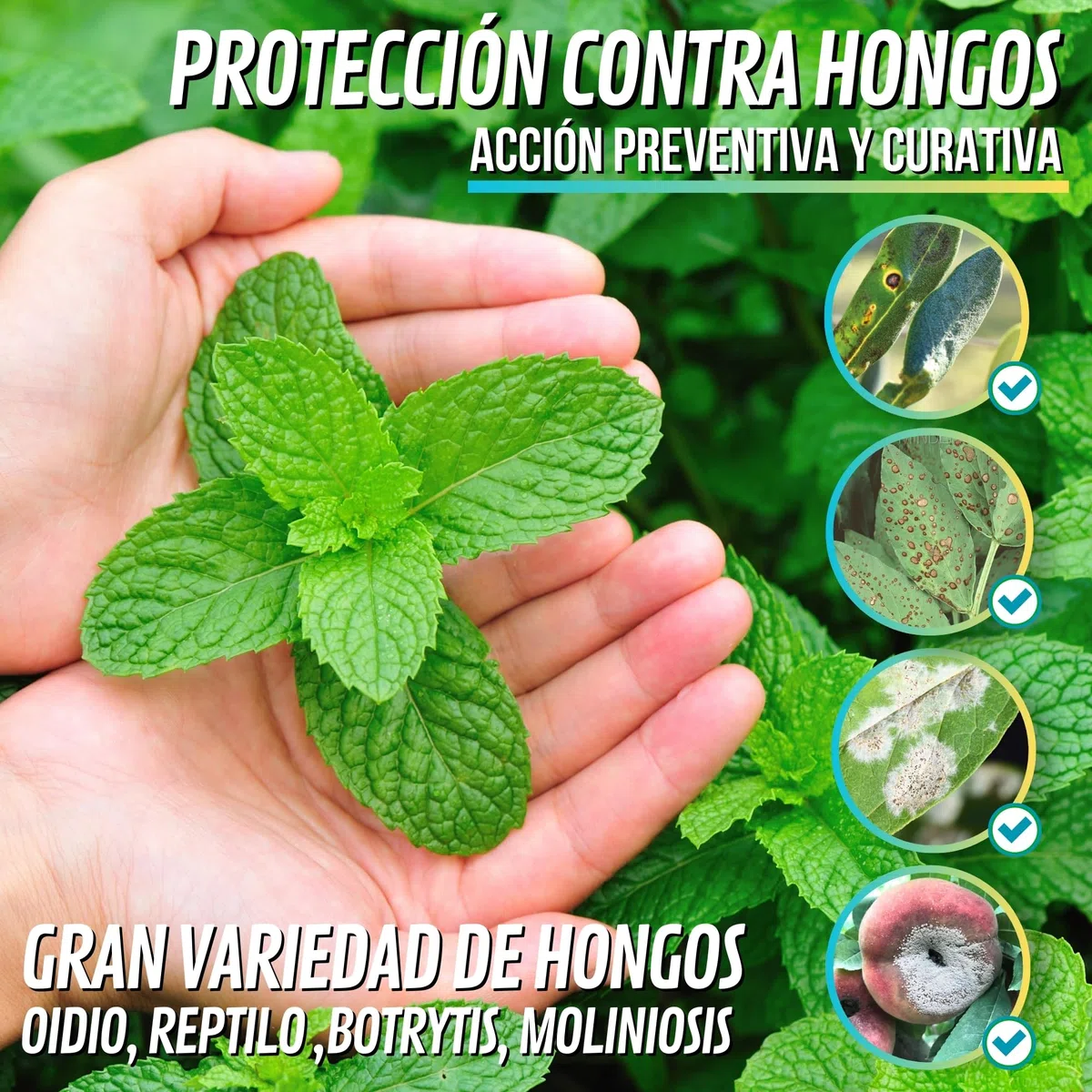 GLUCONATO DE COBRE 1 LITRO cobre fungicida para plantas, corrige carencias de cobre, Solucion protectora con efecto fungicida, cobre sistemico, fertilizante plantas a base de cobre