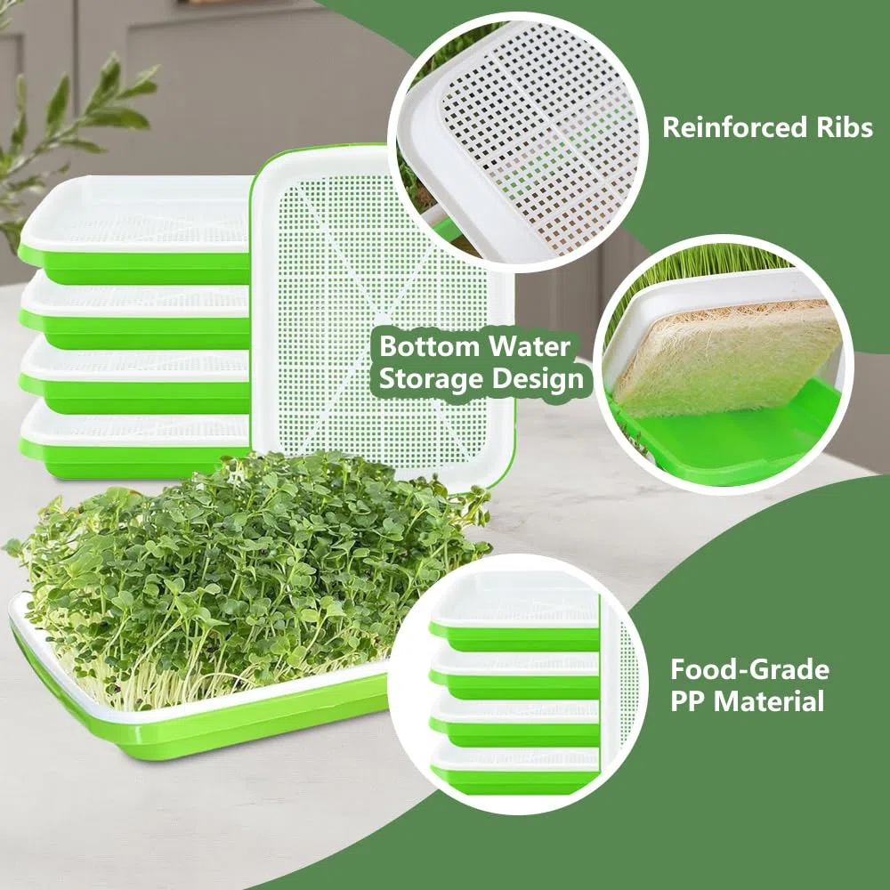 Bandejas Semilleros de Germinacion,6 Piezas 32.5x23.5x4.5cm Bandes para Germinar Brotes,para Semillas Grandes,como Frijol Mmungo,Alfalfa,Hierba de Trigo
