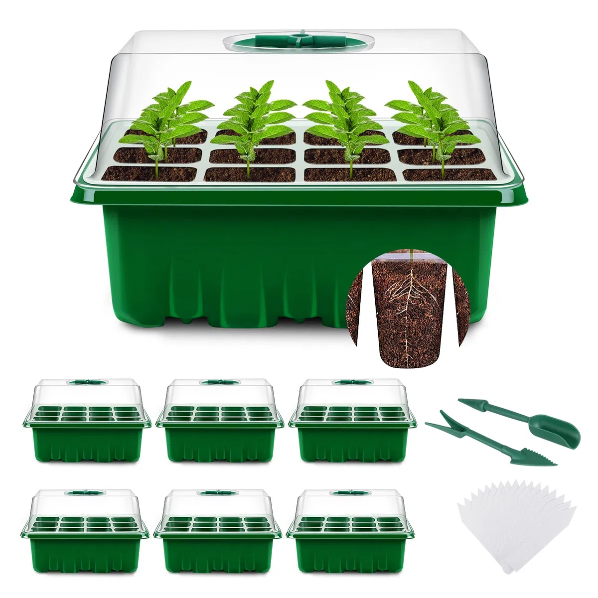 YAUNGEL Bandejas Semilleros, 6Pcs 72 Agujeros Mini Invernadero Germinador de Semillas, Bandeja de Cultivo con Tapa Ventilación y Ventana Ajustable para Plantas Desemillero, Verde