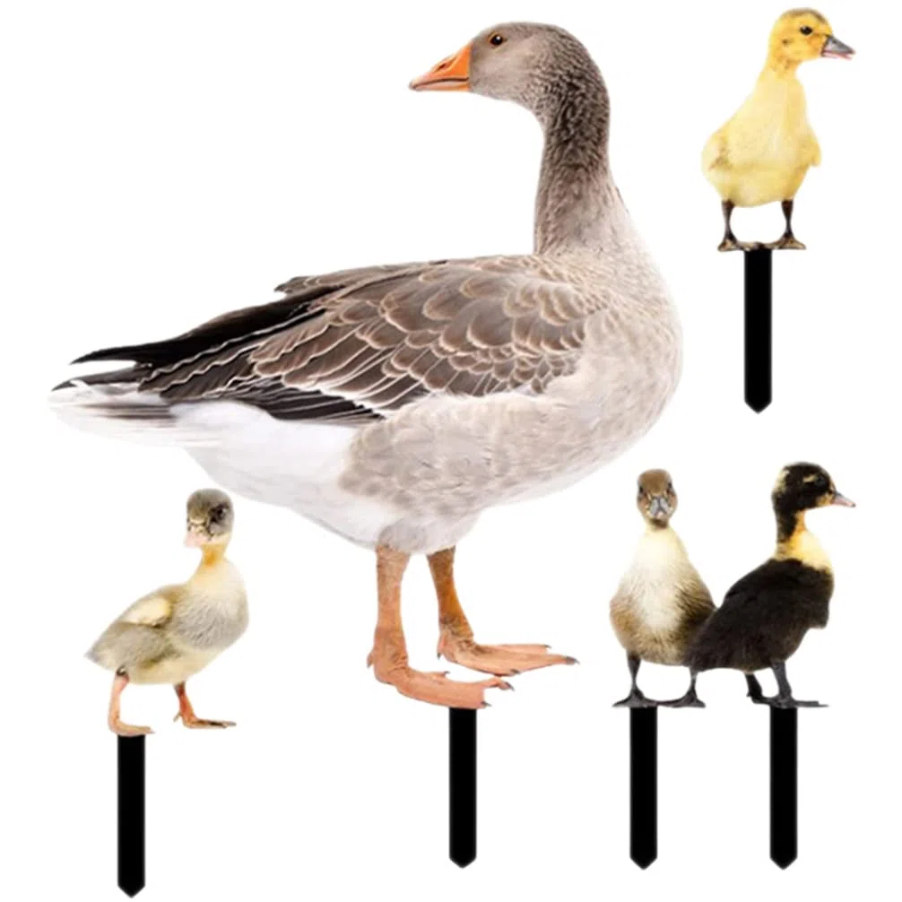 Yardwe 5 unidades de patos decorativos para jardín, figuras decorativas de Pascua, estatua de ganso, figura de jardín, acrílico, decoración de primavera, para el hogar, césped, patio, Pascua, color