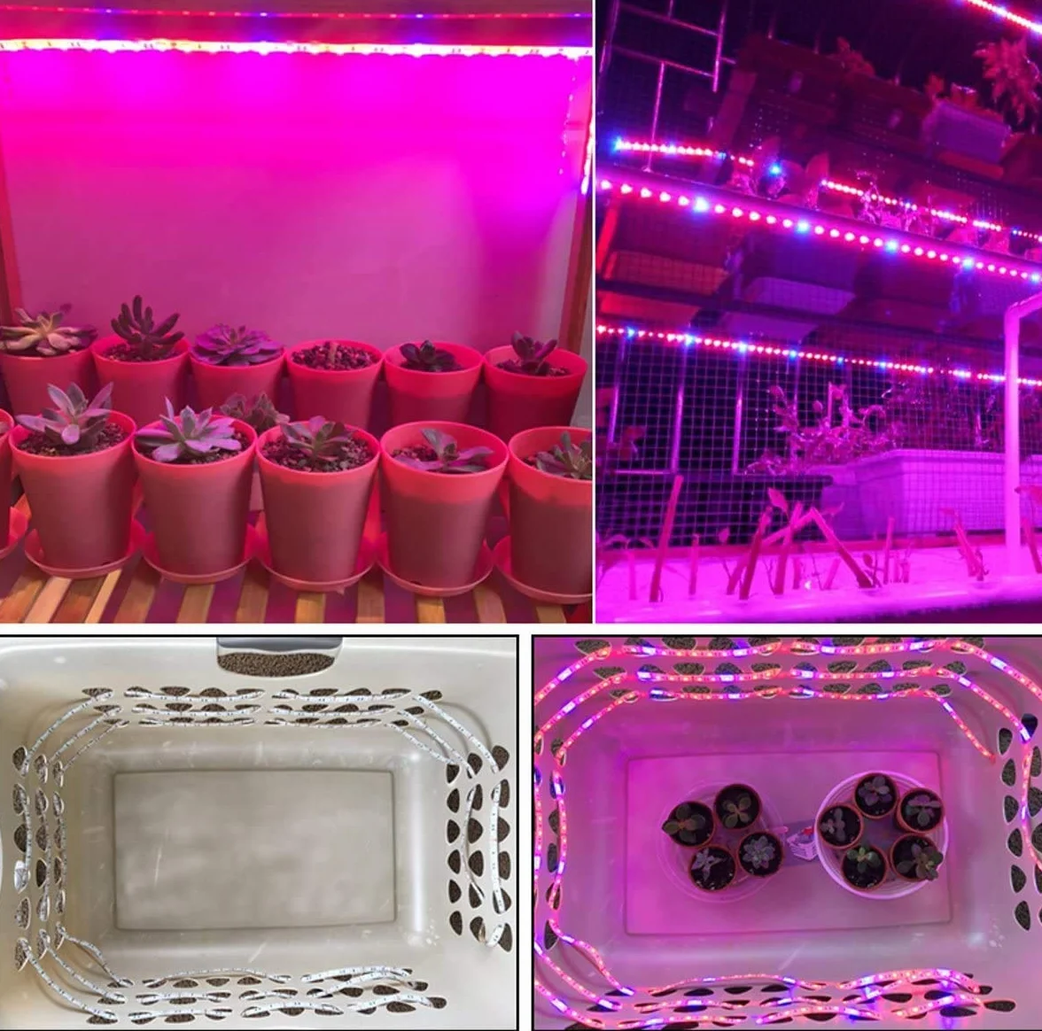 LED planta crecer tira luz DC 12V IP65 impermeable espectro completo SMD 5050 rojo azul 3: 1 cuerda luz para acuario Invernadero plantas
