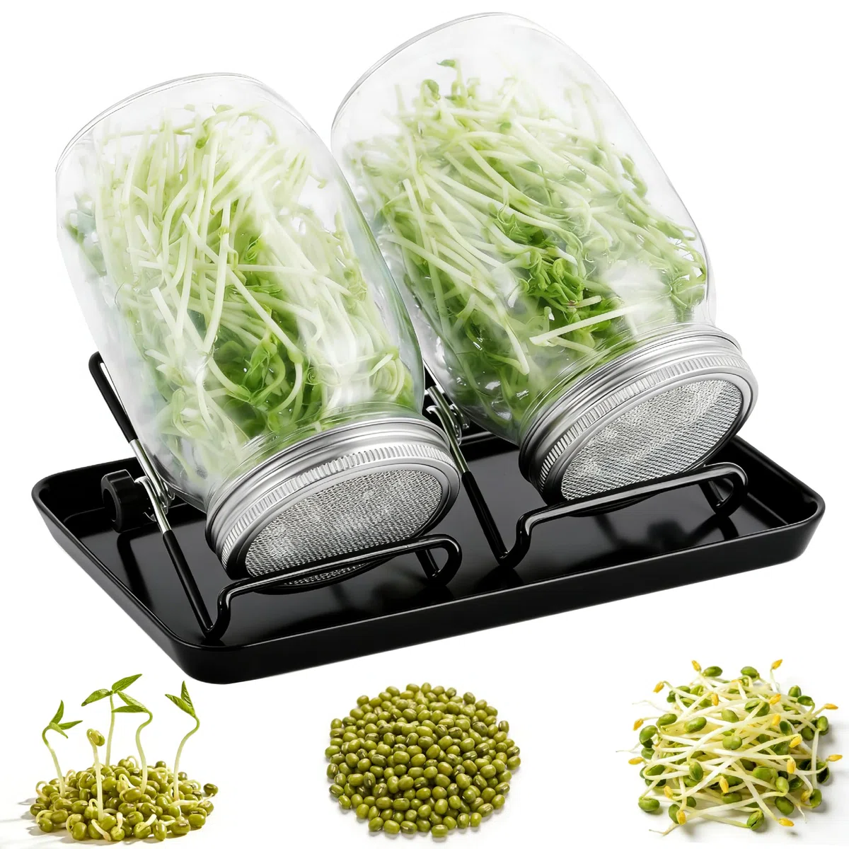 Lote de 2 macetas de germinación 750 ml + Plato, macetas de germinación de Vidrio para Semillas, Tapas de Malla Inoxidable 304, Kit de germinación doméstica Saludable y ecológica