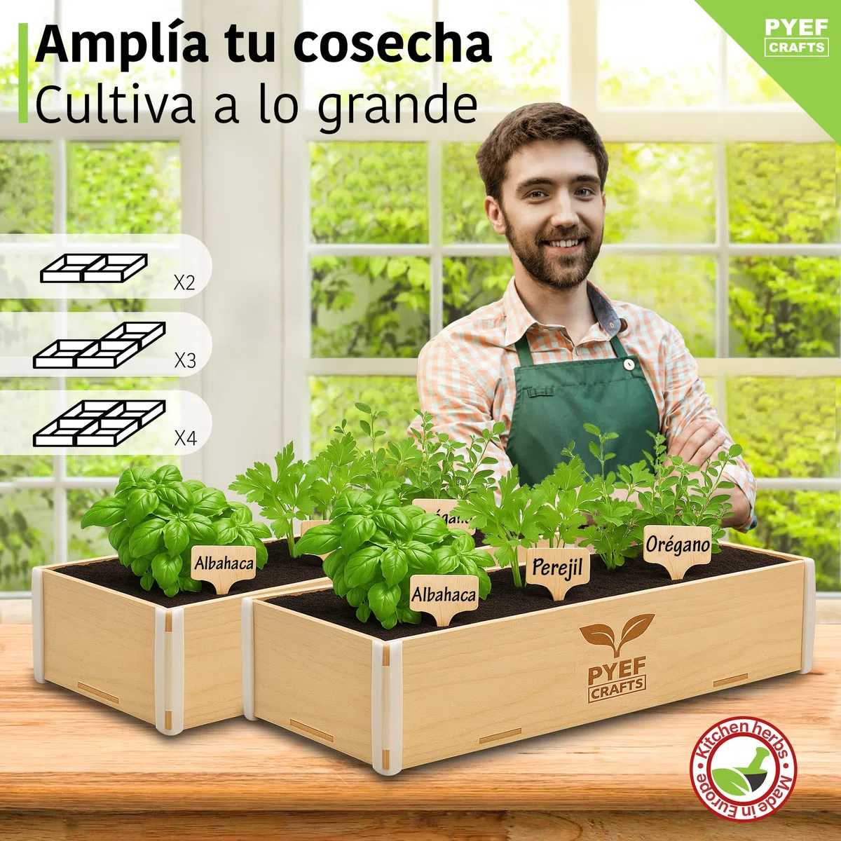 Huerto Urbano Hierbas Aromáticas - Kit Plantas Aromáticas Interior con Semillas de Orégano, Albahaca, Perejil y Cilantro - Caja de Madera - Kit Semillas Plantas Culinarias para Casa