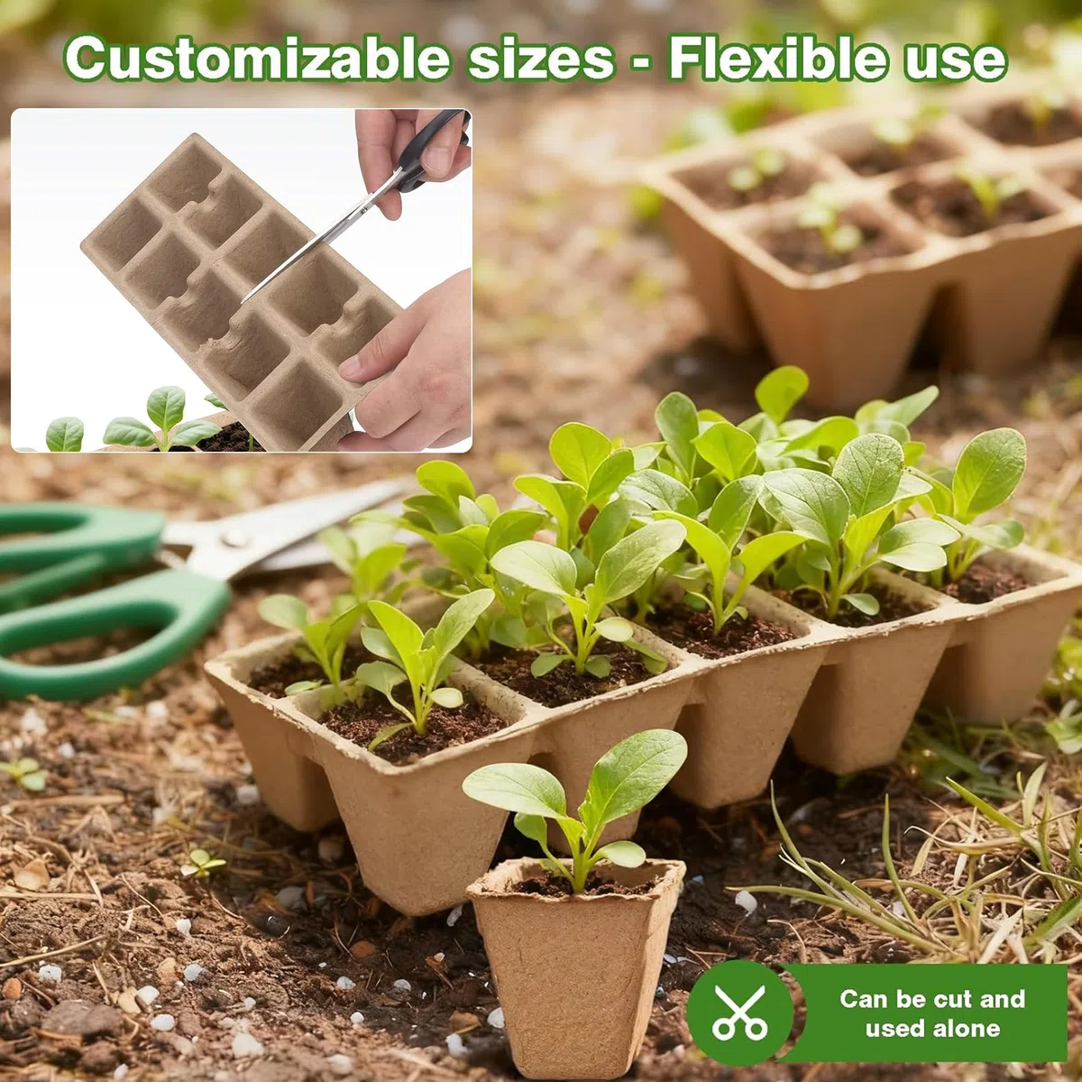 Macetas Semillas Germinación Macetas Biodegradables Semilleros con Agujero en la Parte Inferior para Todas Las Semillas, plántulas, Flores, Frutas y hortalizas (Marrón, Estilo 1)