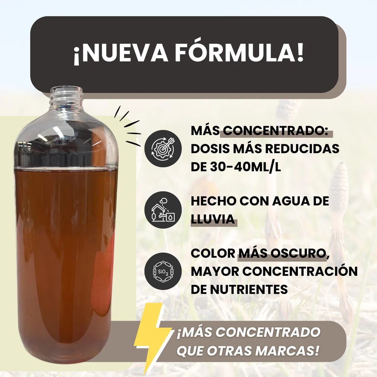 Cola de Caballo Fungicida 5L – Preventivo y Curativo para Plantas - Muy Concentrado 30ml/L – Bioestimulante Plantas de Interior y Huerto Urbano – Controla Hongos como Mildiu, Oídio (5L)