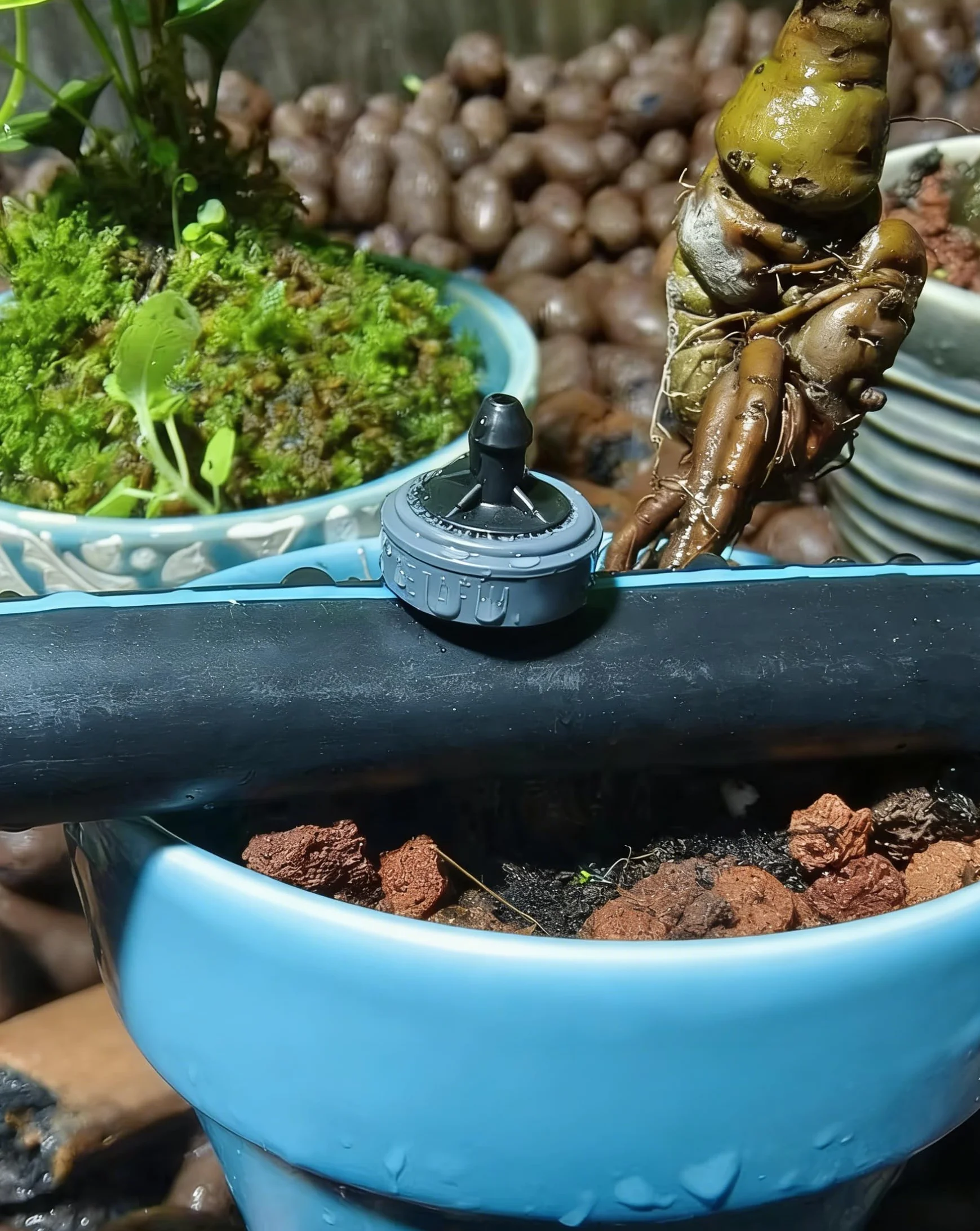 100PCS Emisor de Goteo de riego por Goteo, Dispositivos de riego de Plantas, Goteadores de compensación de presión de 8L Sistema de riego por Goteo Micro Aspersor de riego